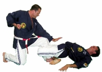 M� Stefano Mancini, 6�dan - Direttore Tecnico Italia